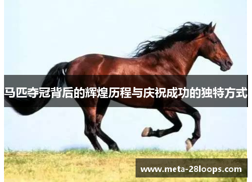 马匹夺冠背后的辉煌历程与庆祝成功的独特方式 马匹夺冠背后的辉煌历程与庆祝成功的独特方式