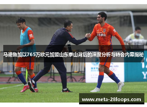 马德鲁加以765万欧元加盟山东泰山背后的深度分析与转会内幕揭秘 马德鲁加以765万欧元加盟山东泰山背后的深度分析与转会内幕揭秘